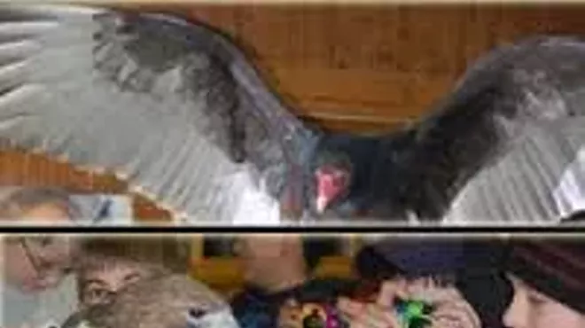 Image: Bill Robinson Wildlife Show