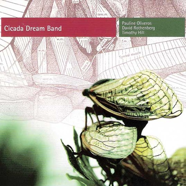 CD Review: Cicada Dream Band