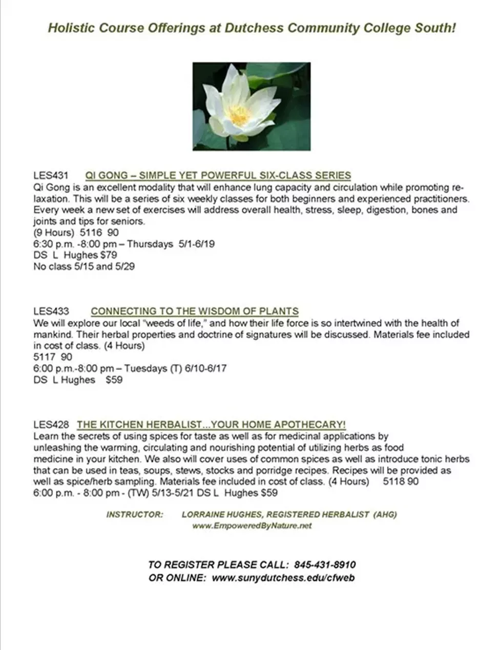 585408f6_holistic_courses_at_dcc_south_-_summer_2014_final.webp