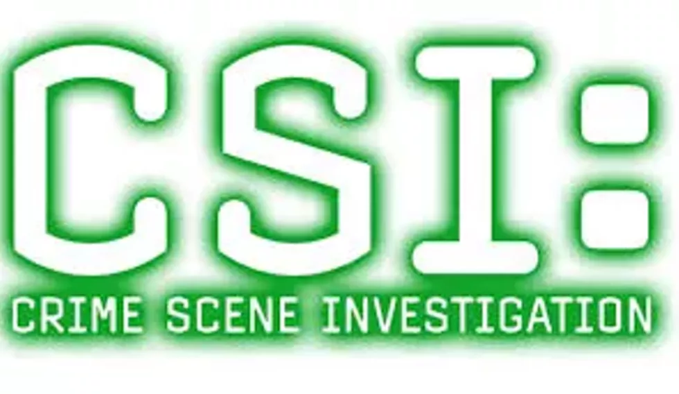 48d5c57f_csi.webp