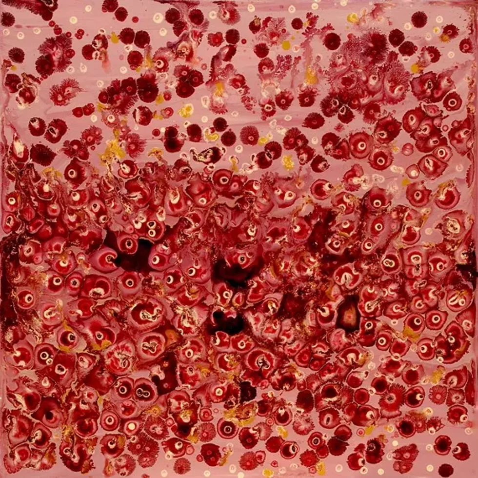 Delight by Richard Bruce