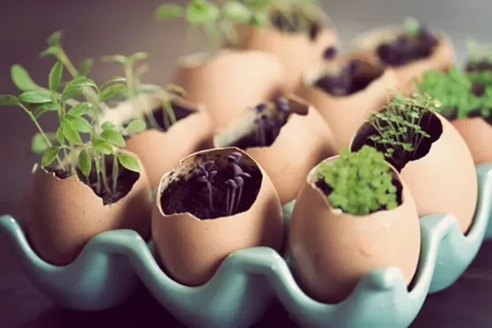 45618889_earth_day_craft.webp