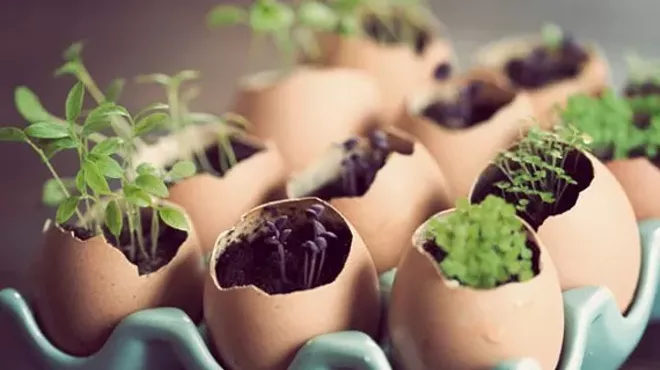 Image: Earth Day Crafts