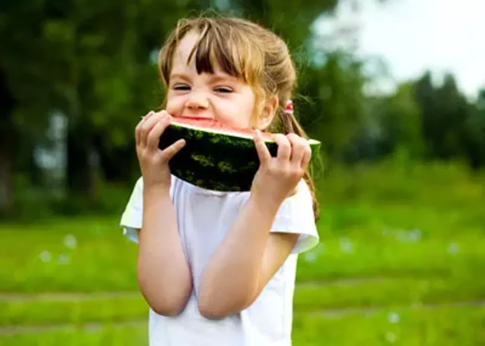 04f95117_istock_000014138143_-watermelon500.webp