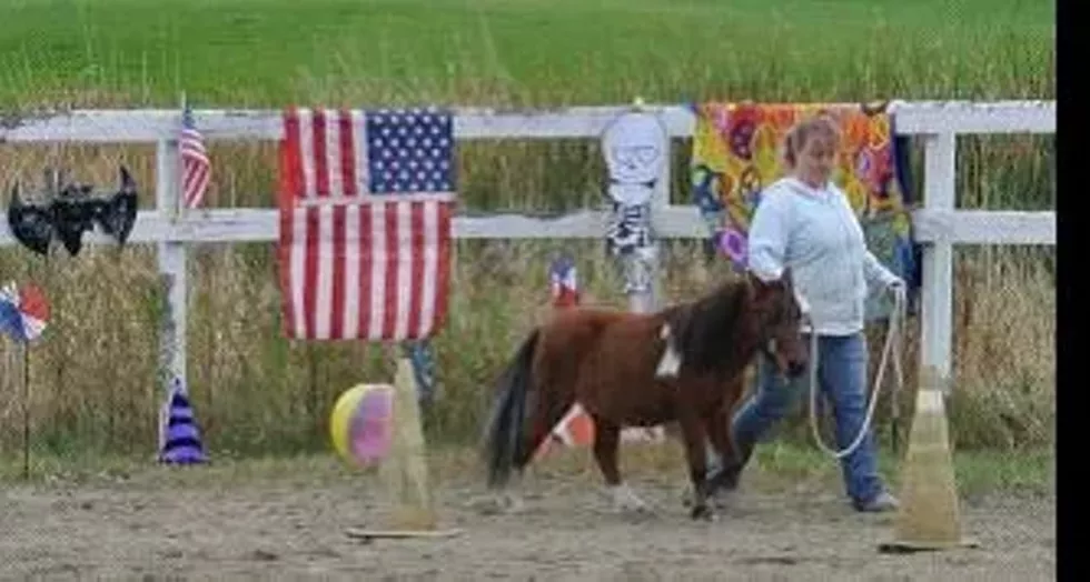 bb763316_picture1.webp