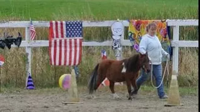 Image: Horse Agility Clinic at High and Mighty Therapeutic Riding and Driving Center 501 (C)(3)