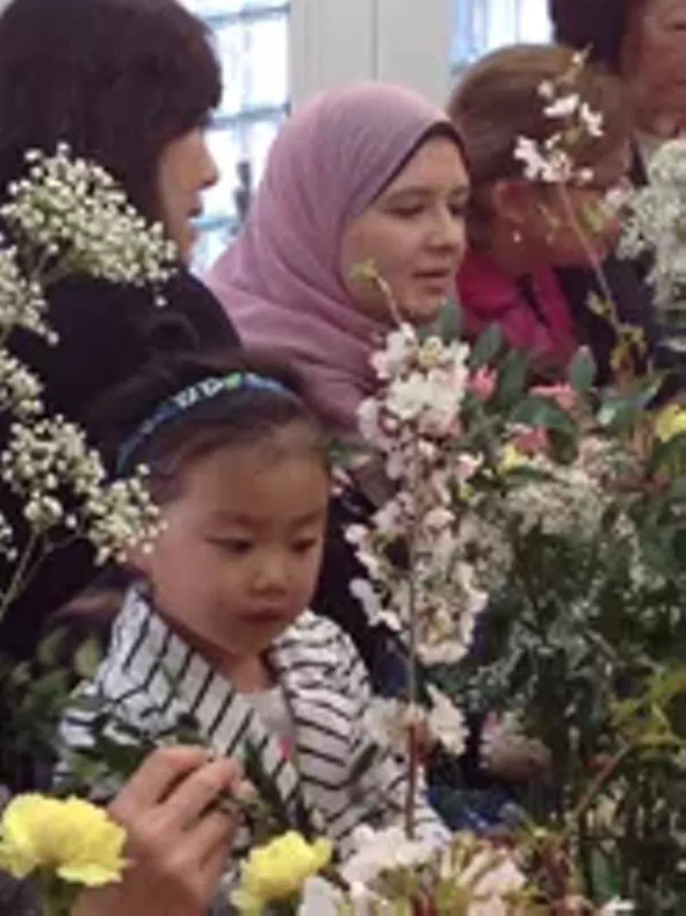 e9d29ef7_cherry_blossom_web.webp
