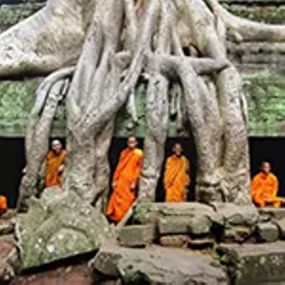 oddball_cambodia.webp