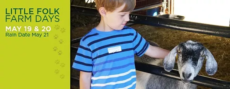 09758515_event_lffd_2015_boy-goat-dates.webp