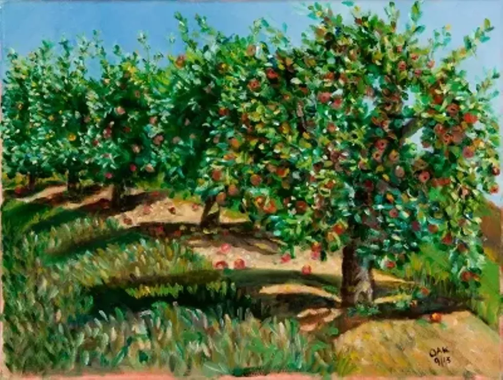 a6a08572_youmans_apple_orchard_400x302_.webp