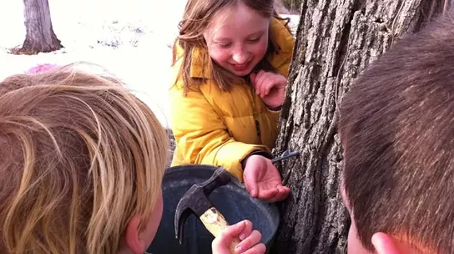 Image: Maple Fest 2014