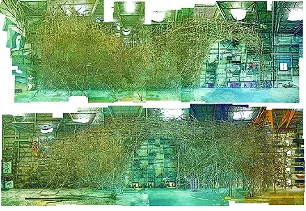 2-at_10_and_20_weeks.webp