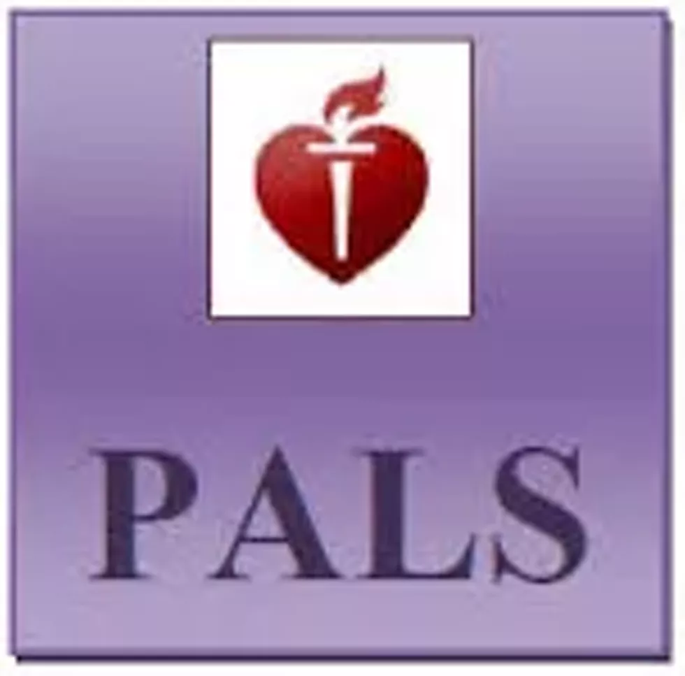 19e804f7_pals.webp