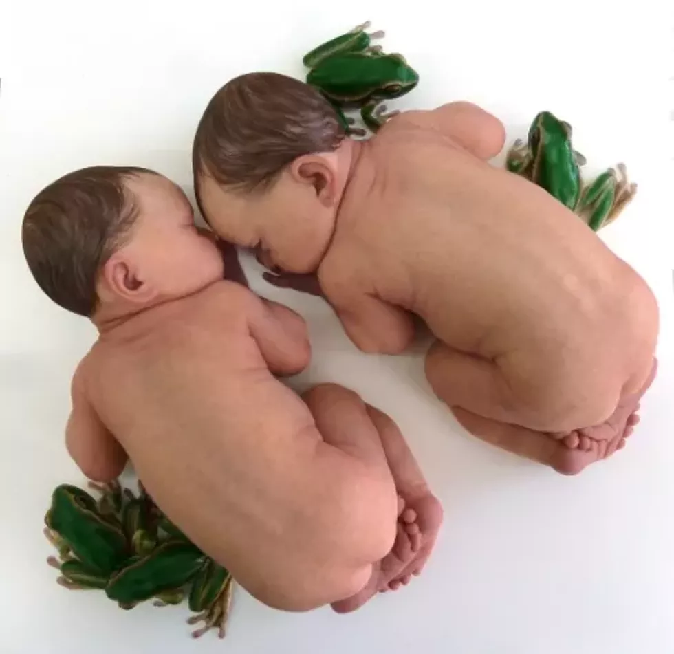 Sam Jinks, Untitled (Babies & Frogs)
