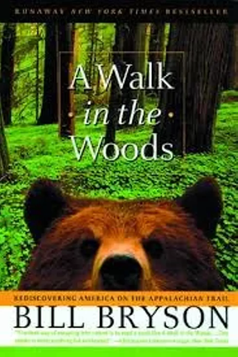 d1fb4065_a_walk_in_the_woods.webp