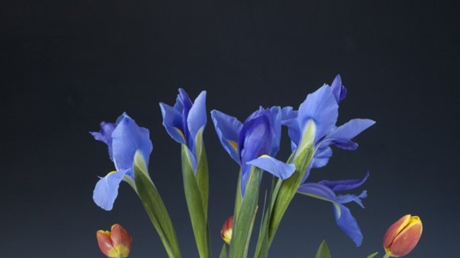 Surface and Form: Tulip Vase Workshop