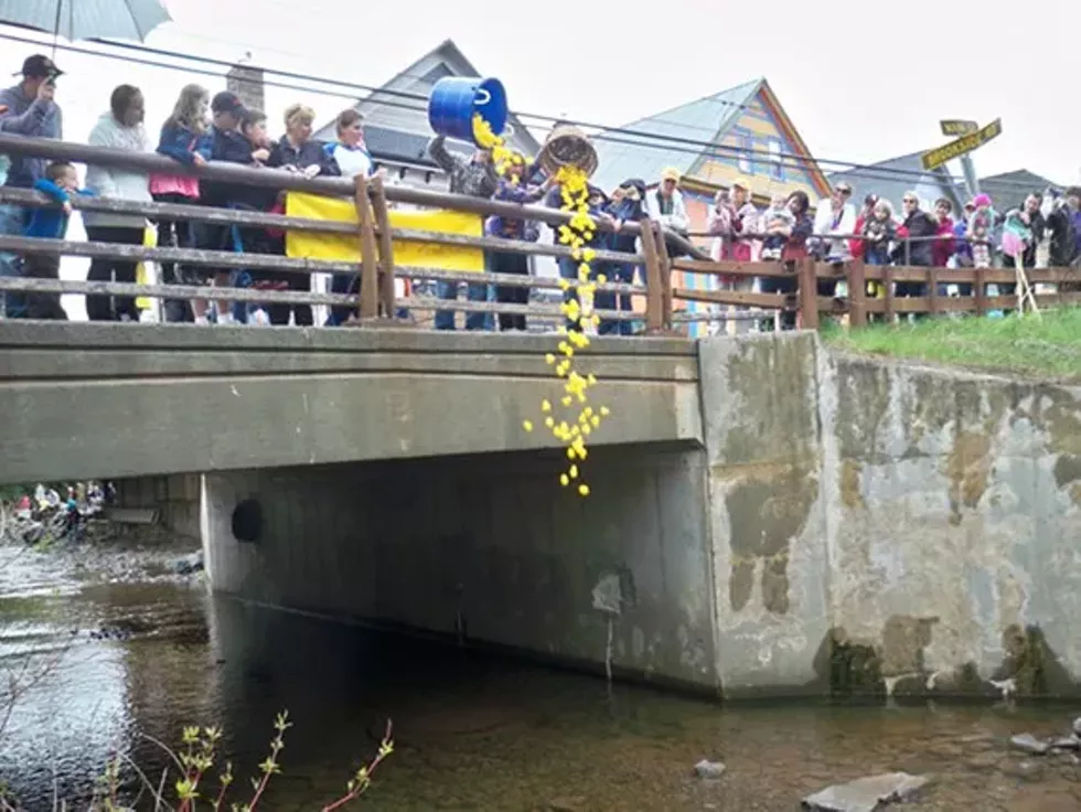 6b32d82a_100_2181.webp