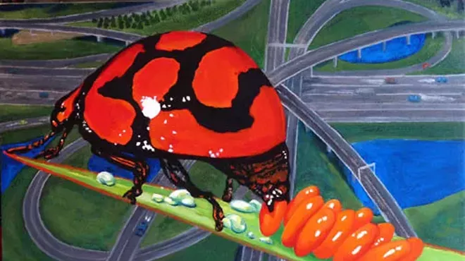 Image: The Birds and the Bugs