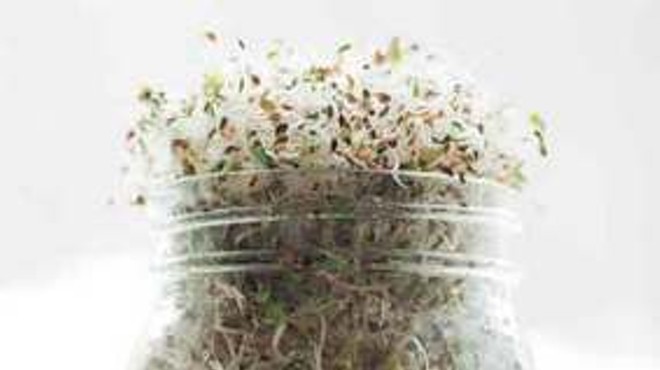 The Germinator: From Seed to Sprout