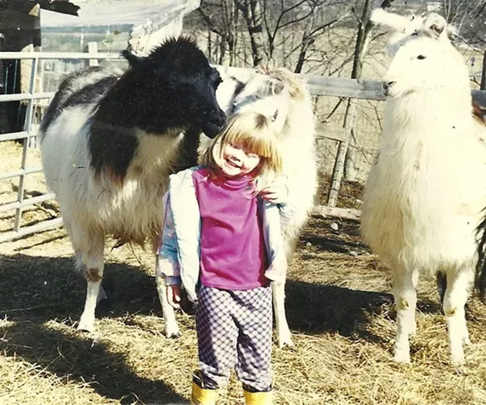 ec7ae111_scan_pic0002.webp