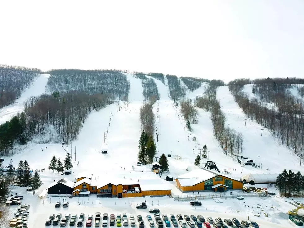 catamount.webp