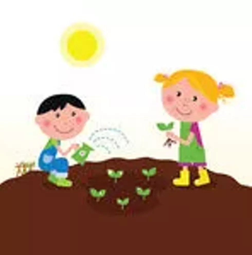 10077ce6_story_garden_2.webp