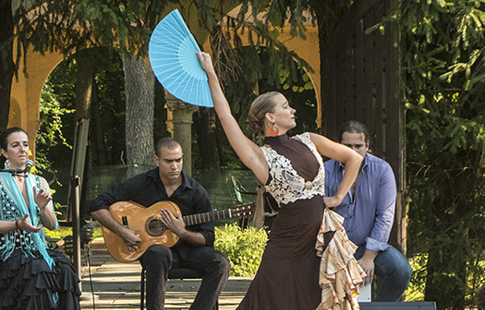 2c985a6e_flamenco-in-the-courtyard-2.png