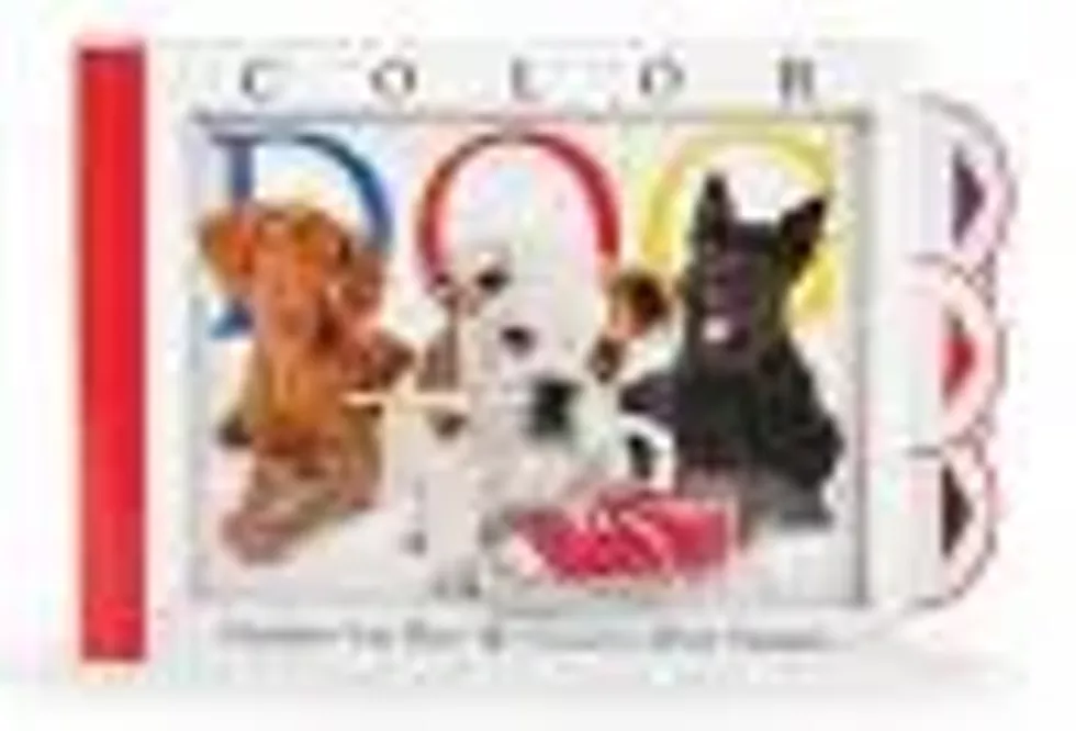 609d4635_colordog.webp