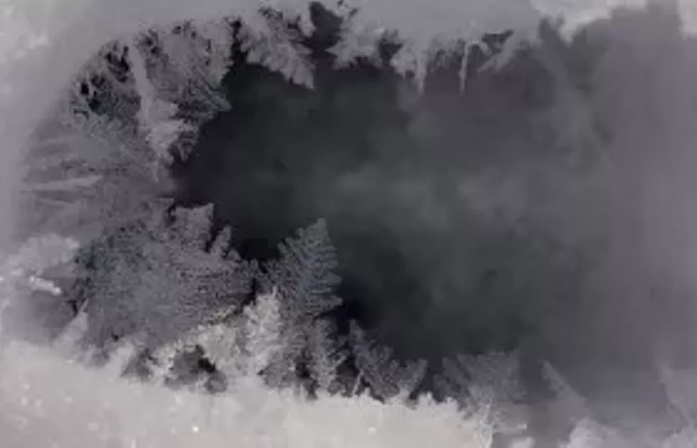 83e852f6_winter-tracking-280x180.webp