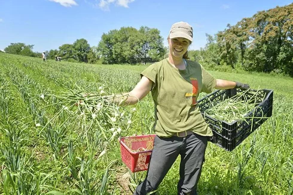 386077b0_farm_worker.webp