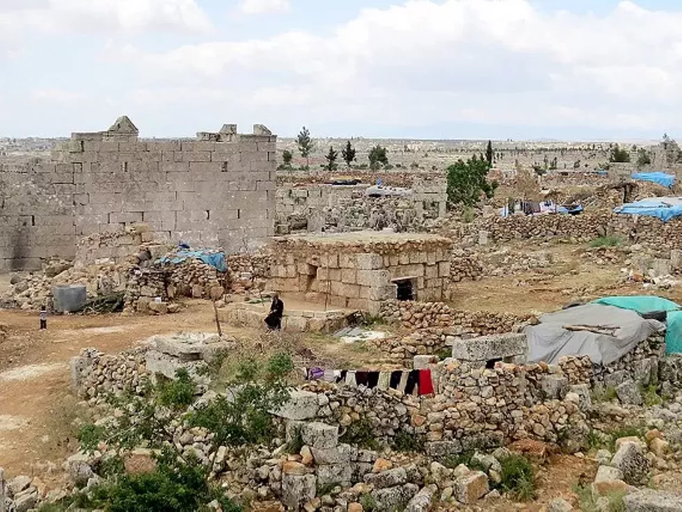 893e72f3_syrian_archaeologist_.webp