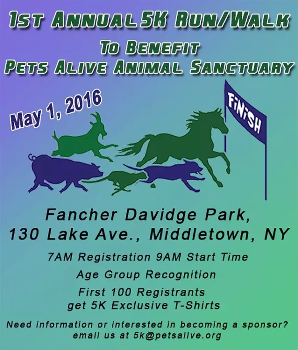 798e4bb3_5k-flyer-web.webp