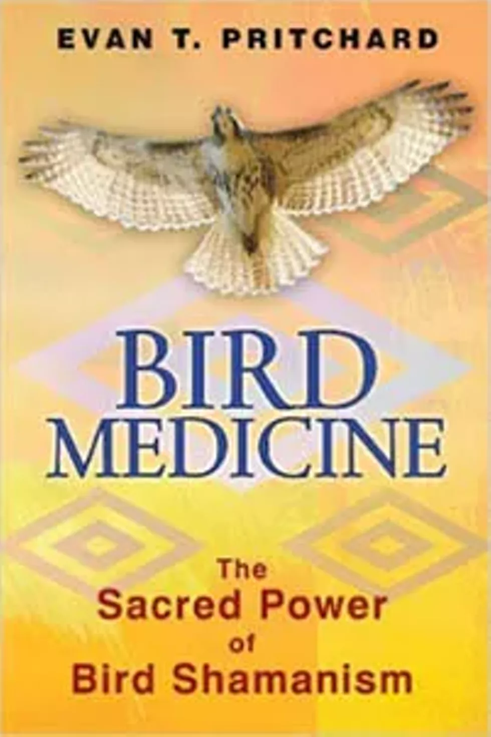 797ce698_bird_medicine.webp