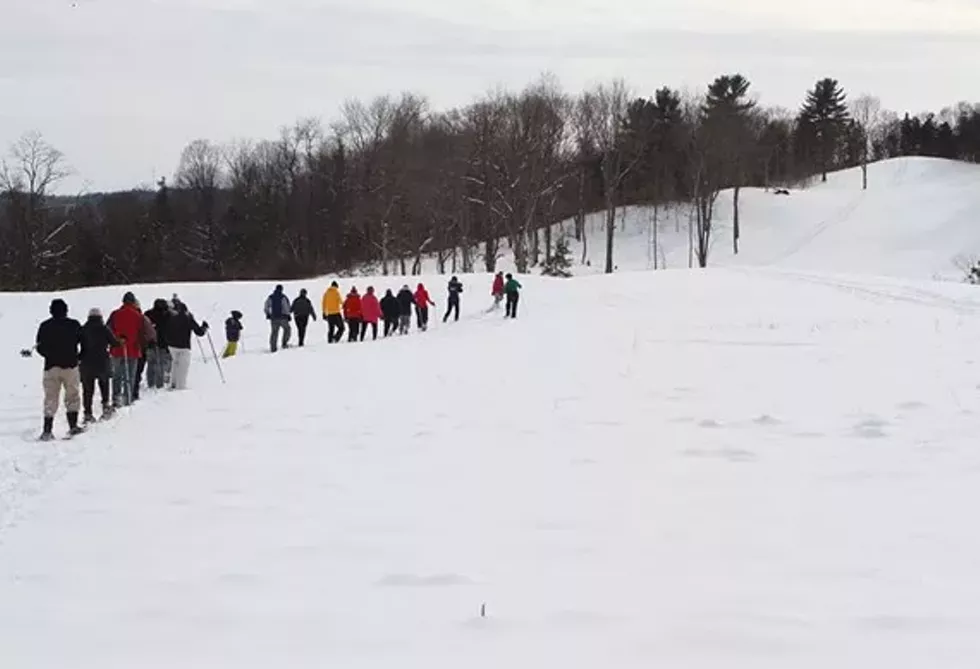 fea213d2_snowshoe_photo_credit_sarah_hasbrook.webp