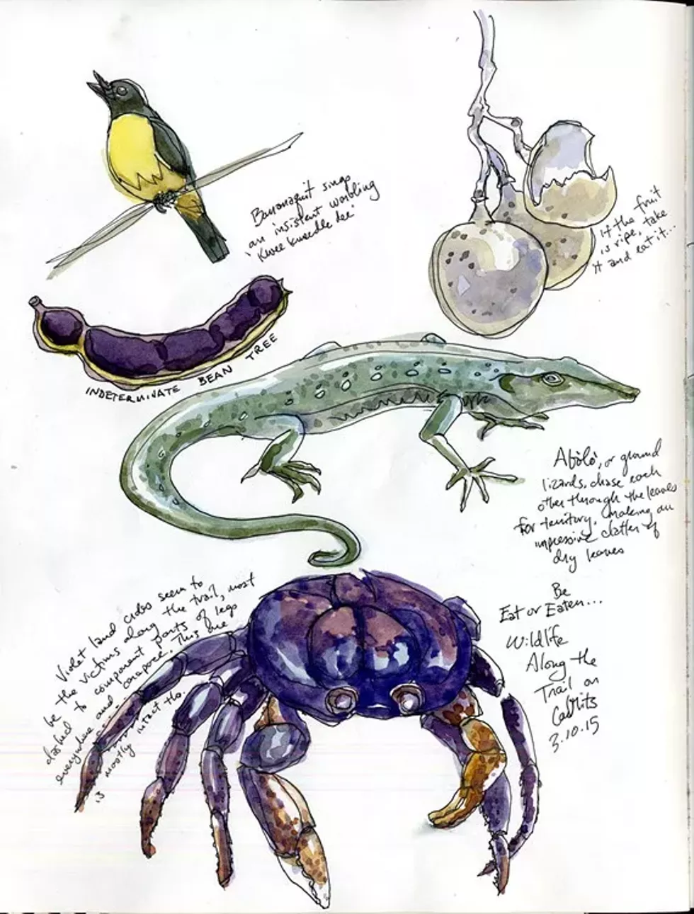 3b1d9294_illustration_workshop.webp