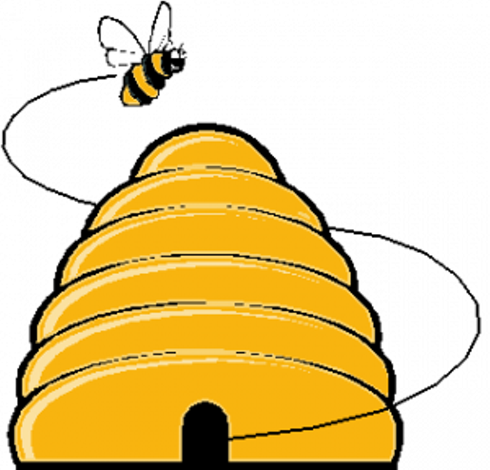ff37f9c5_bee_hive.png