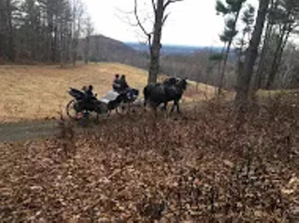 1f9efab4_carriage_photo_credit_rachel_tice.webp