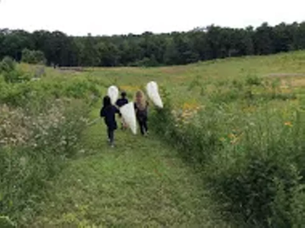 9f9fa92c_panorama_photo_credit_amy_hufnagel.webp