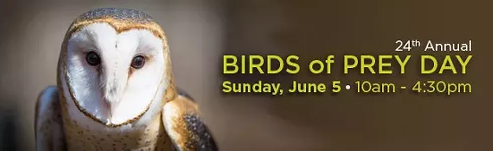 802509e9_event_header_birds-of-prey_16-with-dates.webp