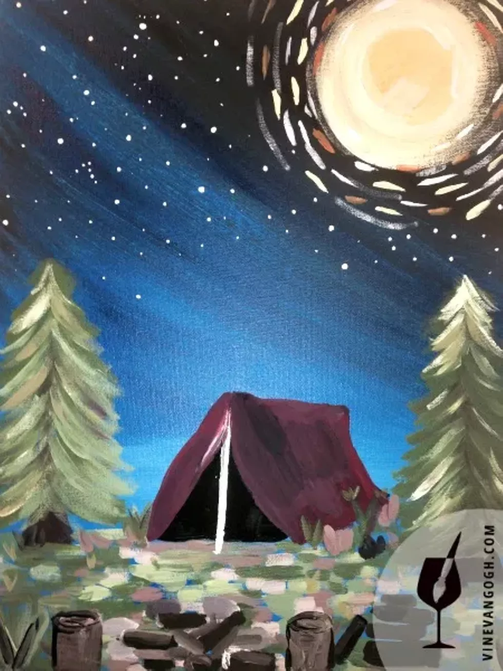 4d33ab5f_sleeping_under_the_stars-easy-nicole_wm.webp