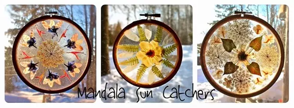 a921ce27_suncatchers.webp