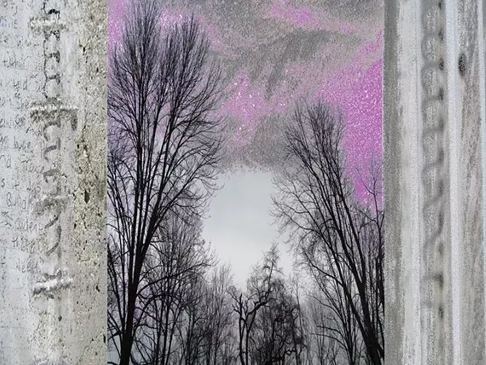 baa45527_purpleone_1.webp