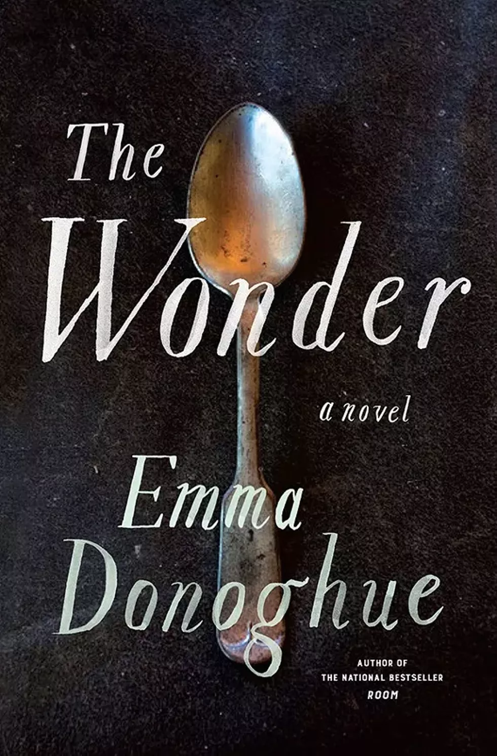 c1fa01cc_the_wonder.webp