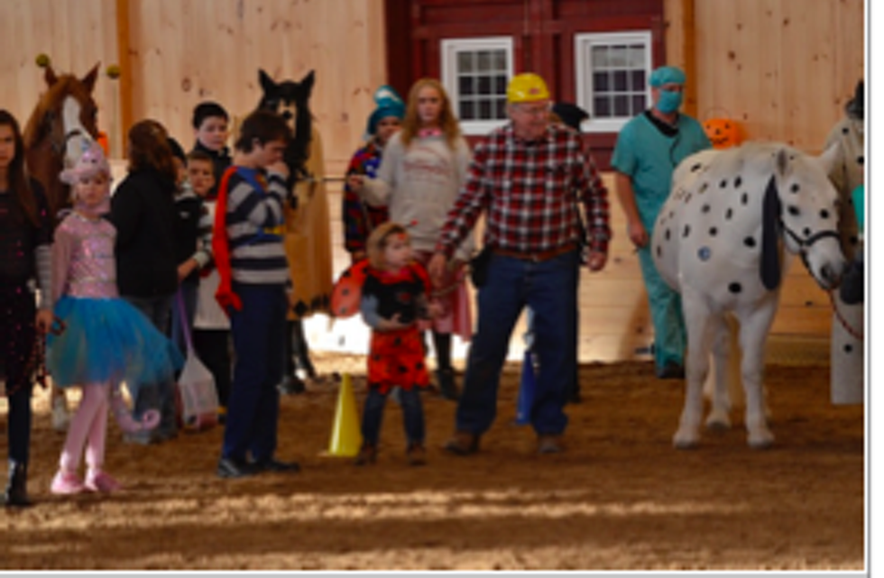 661fea44_picture_of_herd.png