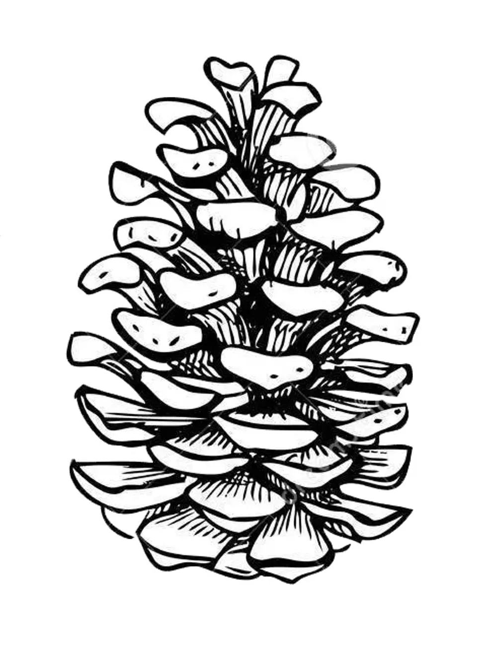 17f5faaa_vector-seamless-pine-cone-pattern-hand-drawn-illustration-63847508.webp