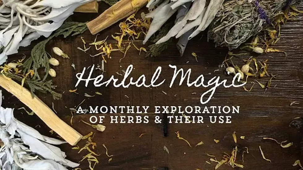6647cbc3_herbal_magic.webp
