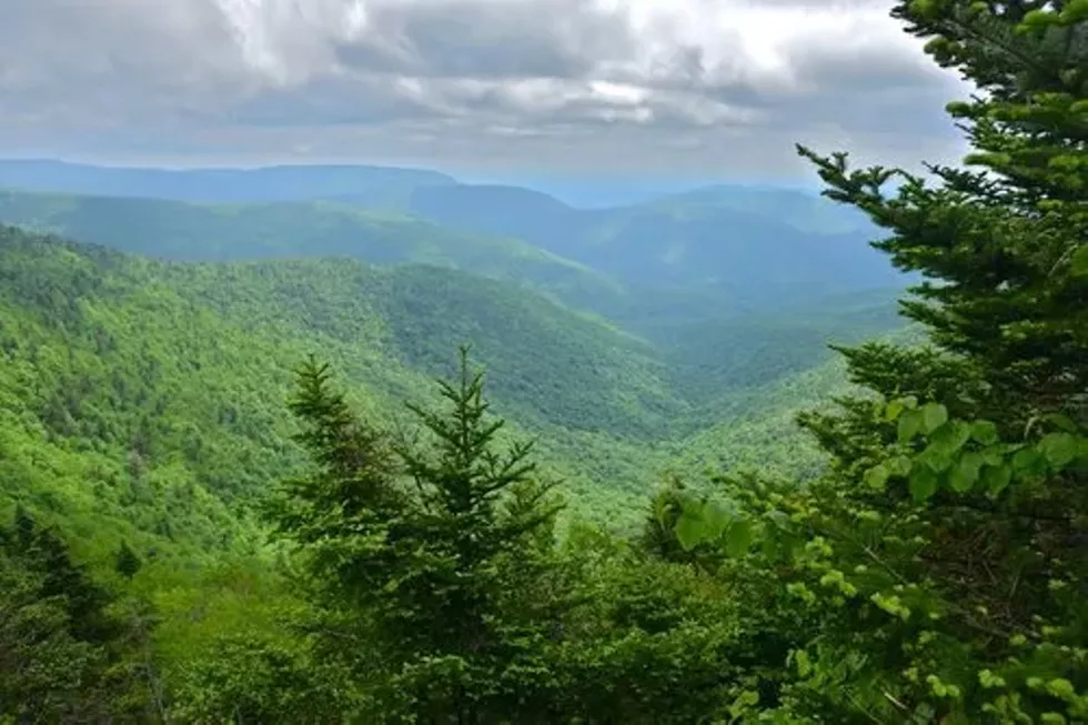 c91909b7_catskills.webp