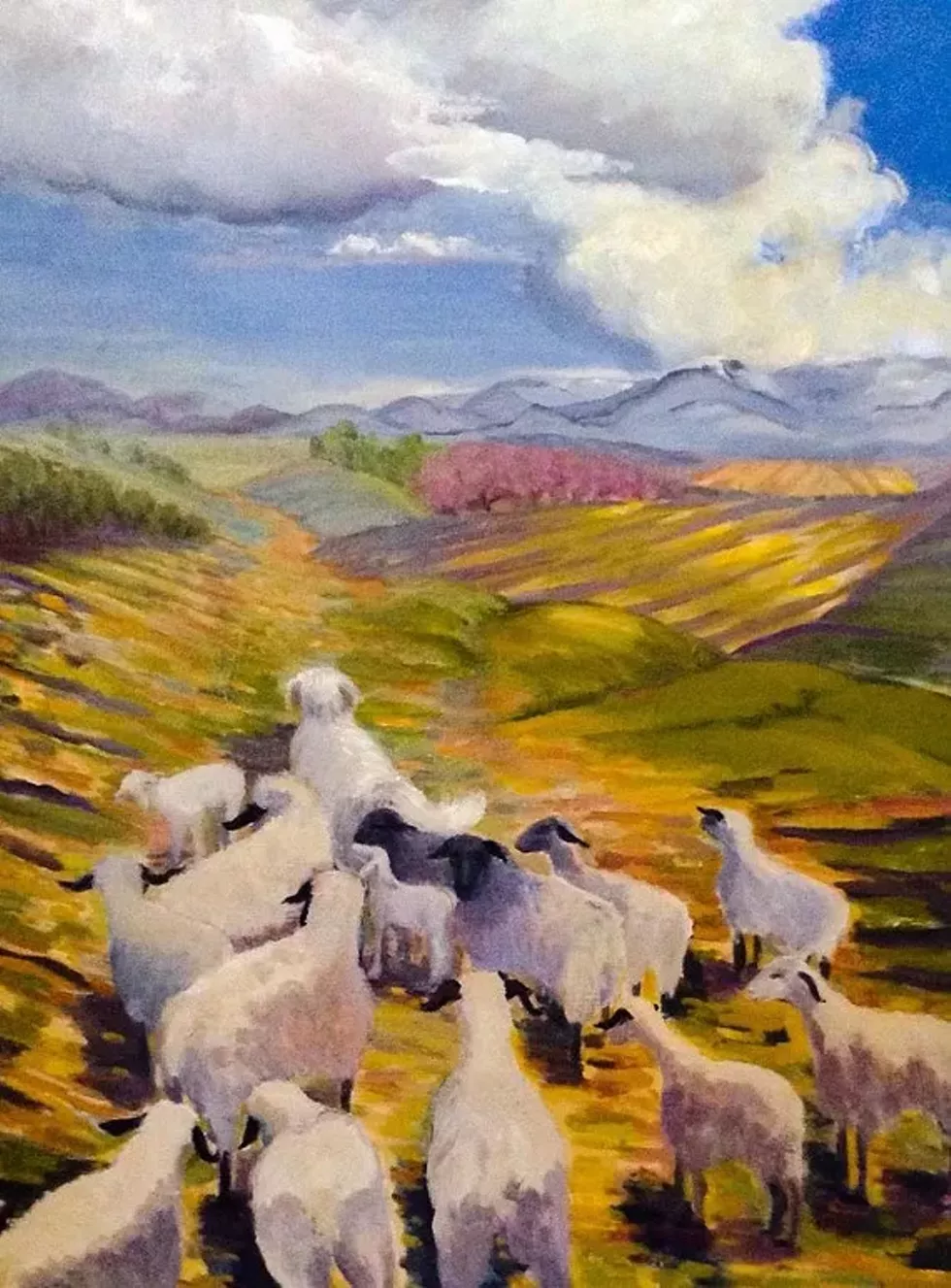 7c232637_aneshansley_sheep_in_field.webp