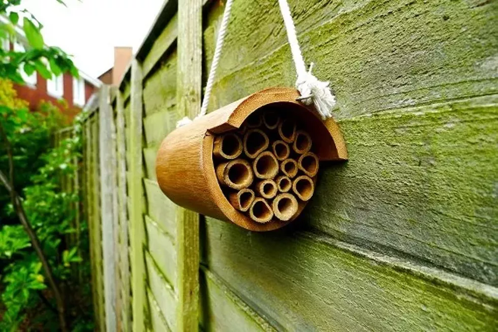 191f3a6a_bee_house-2.webp