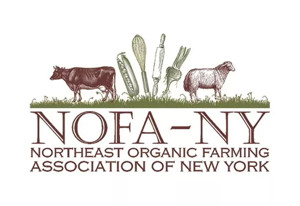 72a6d868_nofa-ny-buffalo-ny-1-730x502.webp